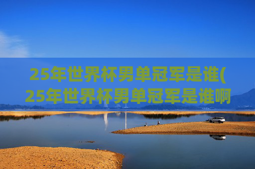 25年世界杯男单冠军是谁(25年世界杯男单冠军是谁啊)