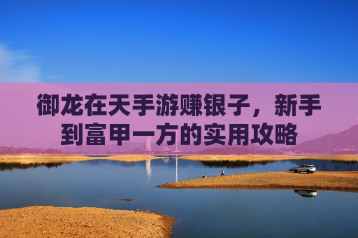 御龙在天手游赚银子，新手到富甲一方的实用攻略