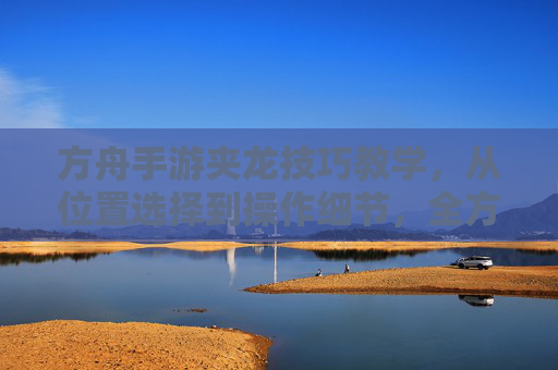 方舟手游夹龙技巧教学，从位置选择到操作细节，全方位解析高效夹龙方法，方舟手游夹龙技巧教学，从位置选择到操作细节，全方位解析高效夹龙方法