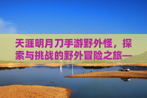 天涯明月刀手游野外怪,探索与挑战的野外冒险之旅——玩家眼中的野外生态与战斗体验,天涯明月刀手游野外怪,探索与挑战的野外冒险之旅——玩家眼中的野外生态与战斗体验