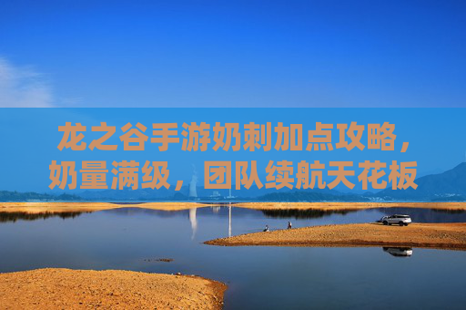龙之谷手游奶刺加点攻略，奶量满级，团队续航天花板，龙之谷手游奶刺奶量满级加点攻略，团队续航天花板