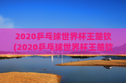 2020乒乓球世界杯王楚钦(2020乒乓球世界杯王楚钦参加了吗)