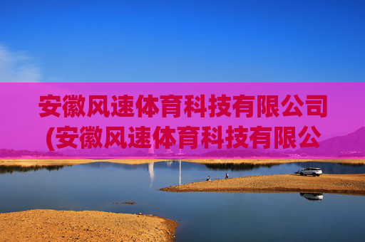 安徽风速体育科技有限公司(安徽风速体育科技有限公司怎么样)