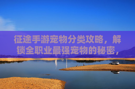 征途手游宠物分类攻略,解锁全职业最强宠物的秘密,征途手游宠物分类攻略,解锁全职业最强宠物的秘密