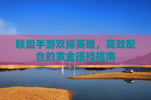 联盟手游双排英雄，高效配合的黄金搭档指南