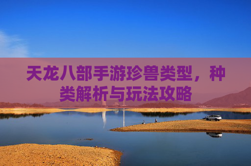 天龙八部手游珍兽类型，种类解析与玩法攻略