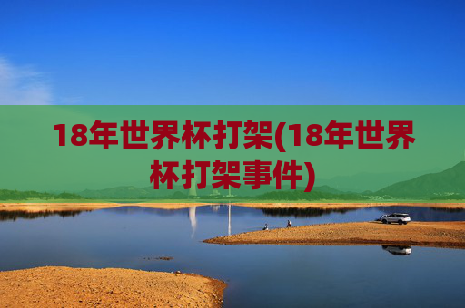 18年世界杯打架(18年世界杯打架事件)