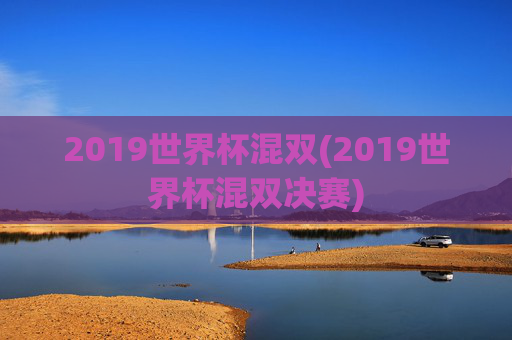 2019世界杯混双(2019世界杯混双决赛)