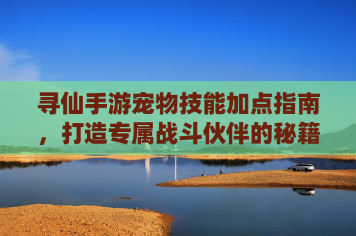 寻仙手游宠物技能加点指南，打造专属战斗伙伴的秘籍，寻仙手游宠物技能加点指南，打造专属战斗伙伴的秘籍