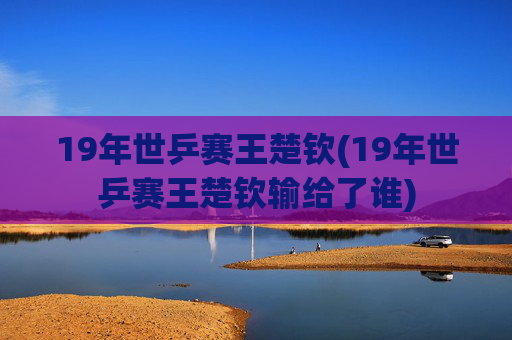 19年世乒赛王楚钦(19年世乒赛王楚钦输给了谁)