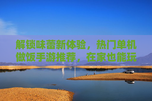 解锁味蕾新体验,热门单机做饭手游推荐,在家也能玩转美食盛宴