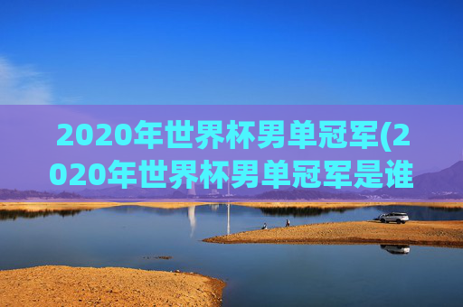 2020年世界杯男单冠军(2020年世界杯男单冠军是谁)2020年世界杯男单冠军是谁