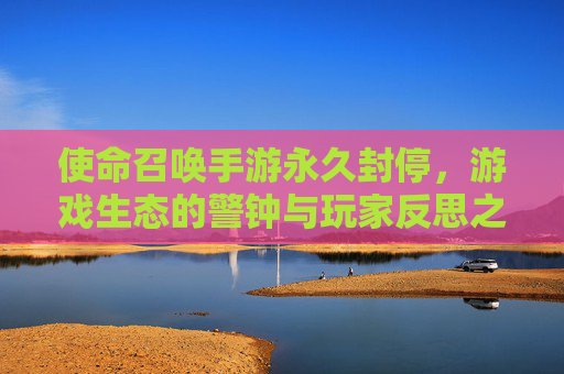 使命召唤手游永久封停,游戏生态的警钟与玩家反思之路,使命召唤手游永久封停,游戏生态的警钟与玩家反思之路