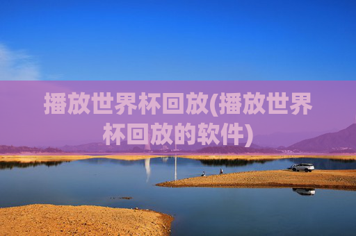 播放世界杯回放(播放世界杯回放的软件)