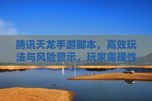 腾讯天龙手游脚本，高效玩法与风险警示，玩家需理性看待工具辅助，腾讯天龙手游脚本，高效玩法与风险警示，玩家需理性看待工具辅助