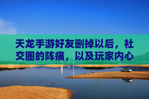天龙手游好友删掉以后，社交圈的阵痛，以及玩家内心的回响，天龙手游好友删除，社交阵痛与玩家内心的回响