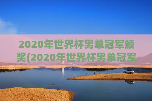 2020年世界杯男单冠军颁奖(2020年世界杯男单冠军颁奖视频)