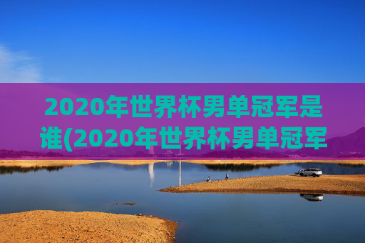 2020年世界杯男单冠军是谁(2020年世界杯男单冠军是谁啊)