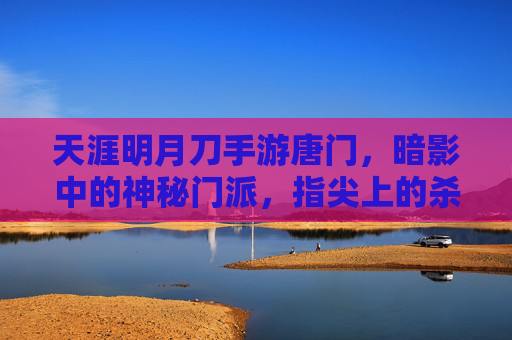 天涯明月刀手游唐门，暗影中的神秘门派，指尖上的杀戮艺术