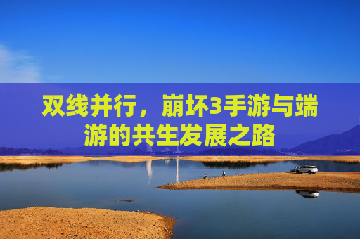 双线并行，崩坏3手游与端游的共生发展之路