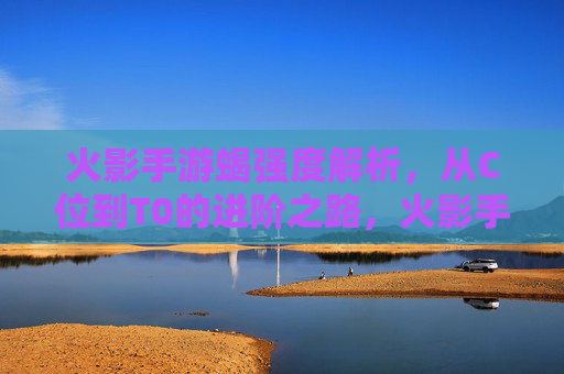 火影手游蝎强度解析，从C位到T0的进阶之路，火影手游蝎强度解析，从C位到T0的进阶之路