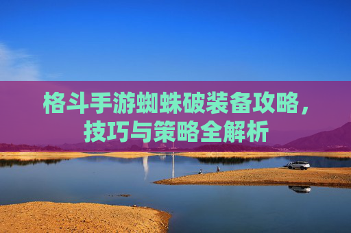 格斗手游蜘蛛破装备攻略,技巧与策略全解析