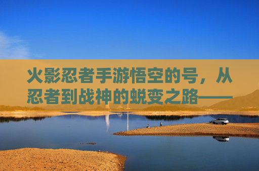 火影忍者手游悟空的号，从忍者到战神的蜕变之路——高爆发与高攻击的战场主宰