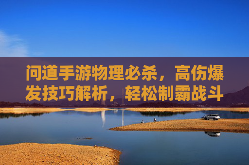 问道手游物理必杀，高伤爆发技巧解析，轻松制霸战斗场，问道手游物理必杀高伤爆发技巧解析，轻松制霸战斗场