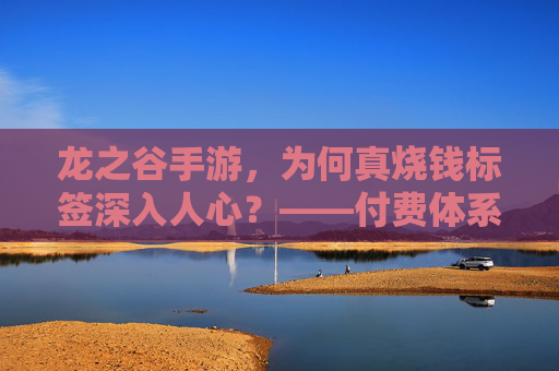 龙之谷手游，为何真烧钱标签深入人心？——付费体系与玩家体验的深度剖析，龙之谷手游，为何真烧钱标签深入人心？——付费体系与玩家体验的深度剖析