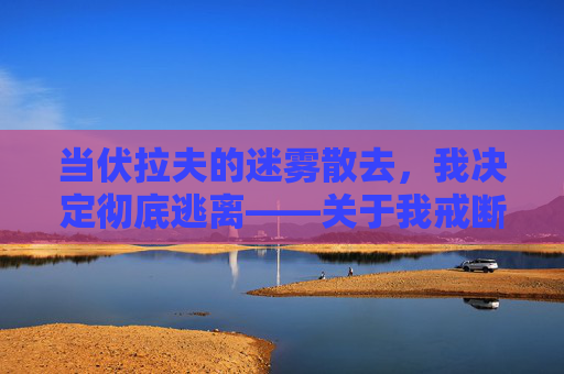 当伏拉夫的迷雾散去，我决定彻底逃离——关于我戒断伏拉夫类手游的心路历程，当伏拉夫的迷雾散去，我决定彻底逃离，关于戒断伏拉夫类手游的心路历程