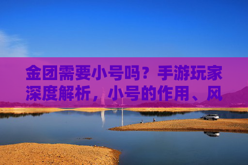 金团需要小号吗？手游玩家深度解析，小号的作用、风险与实用建议，金团需要小号吗？手游玩家深度解析，小号作用、风险与实用建议