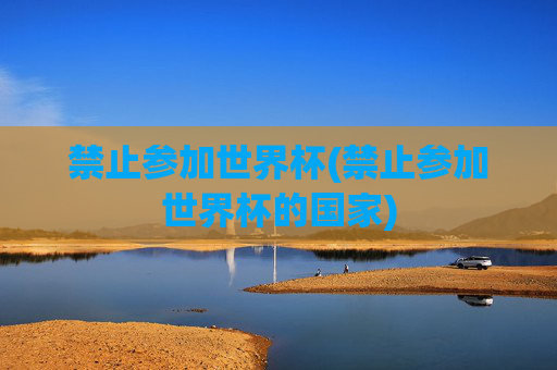 禁止参加世界杯(禁止参加世界杯的国家)