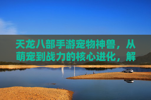 天龙八部手游宠物神兽，从萌宠到战力的核心进化，解锁神兽秘境，提升游戏体验与战斗实力