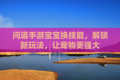 问道手游宝宝换技能，解锁新玩法，让宠物更强大
