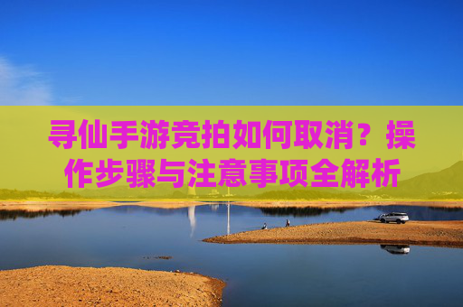 寻仙手游竞拍如何取消?操作步骤与注意事项全解析