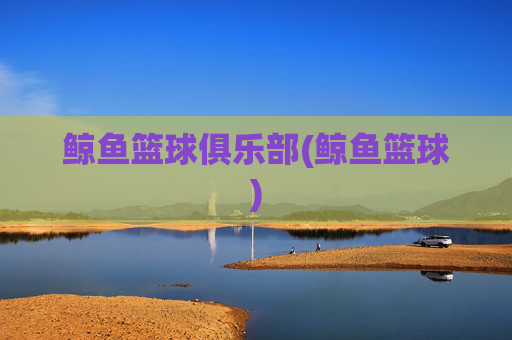 鲸鱼篮球俱乐部(鲸鱼篮球)