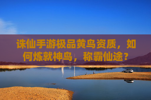 诛仙手游极品黄鸟资质，如何炼就神鸟，称霸仙途？