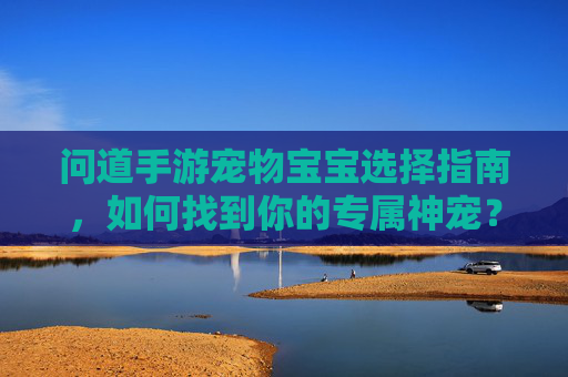 问道手游宠物宝宝选择指南,如何找到你的专属神宠?