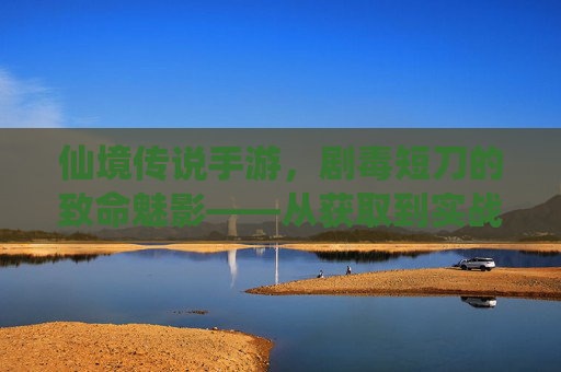 仙境传说手游，剧毒短刀的致命魅影——从获取到实战的深度解析