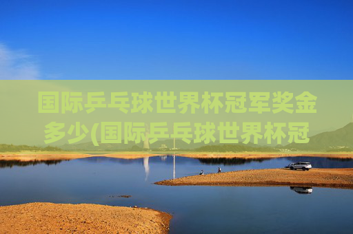 国际乒乓球世界杯冠军奖金多少(国际乒乓球世界杯冠军奖金多少钱)