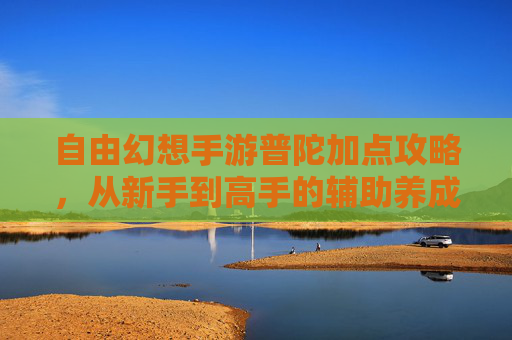 自由幻想手游普陀加点攻略,从新手到高手的辅助养成之路