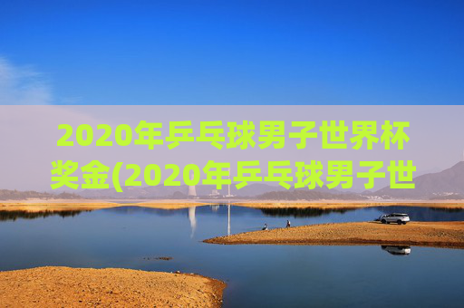 2020年乒乓球男子世界杯奖金(2020年乒乓球男子世界杯奖金多少)2020年乒乓球男子世界杯奖金多少