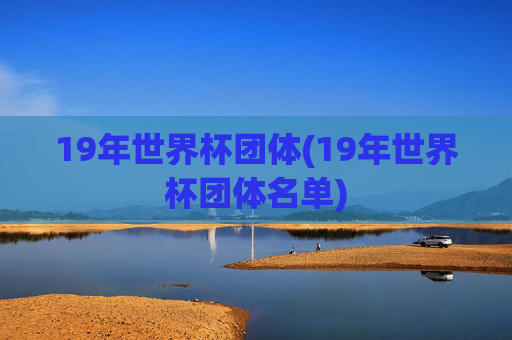 19年世界杯团体(19年世界杯团体名单)