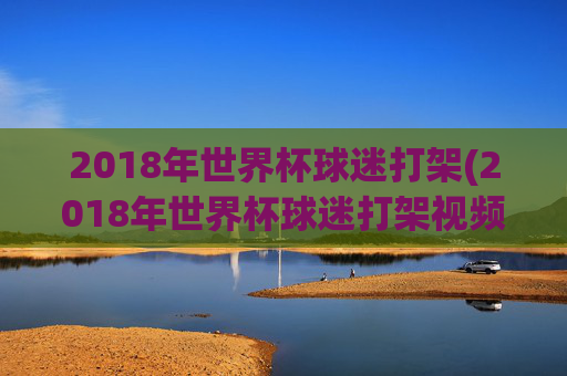 2018年世界杯球迷打架(2018年世界杯球迷打架视频)