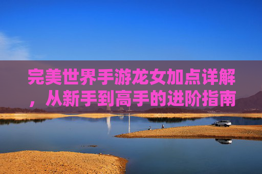 完美世界手游龙女加点详解,从新手到高手的进阶指南