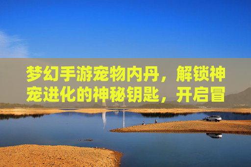 梦幻手游宠物内丹，解锁神宠进化的神秘钥匙，开启冒险新篇章，梦幻手游宠物内丹，解锁神宠进化，开启冒险新篇章