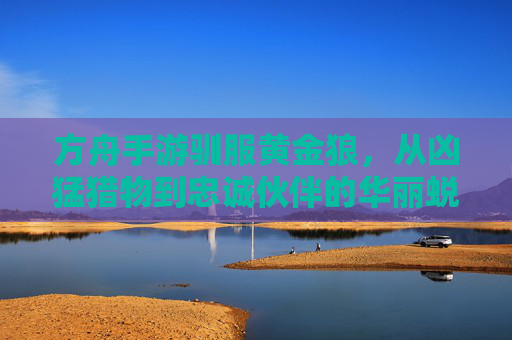 方舟手游驯服黄金狼,从凶猛猎物到忠诚伙伴的华丽蜕变,方舟手游驯服黄金狼,从凶猛猎物到忠诚伙伴的华丽蜕变