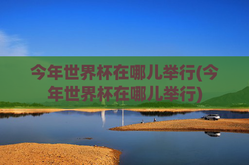今年世界杯在哪儿举行(今年世界杯在哪儿举行)