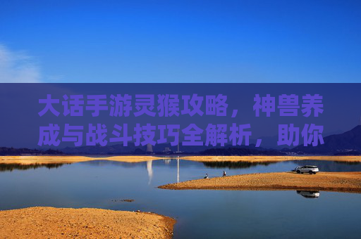 大话手游灵猴攻略,神兽养成与战斗技巧全解析,助你玩转神猴