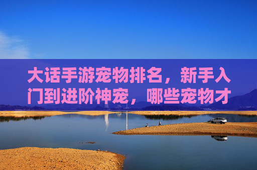 大话手游宠物排名,新手入门到进阶神宠,哪些宠物才是真正的神?